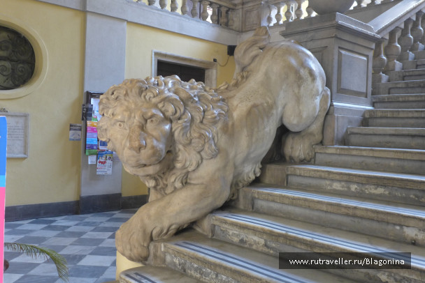photo 1486392