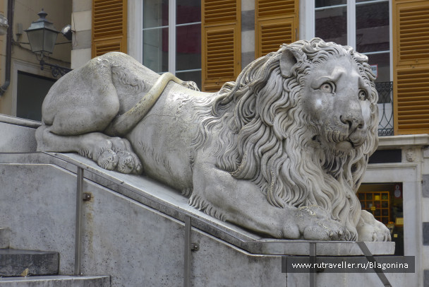 photo 1489844
