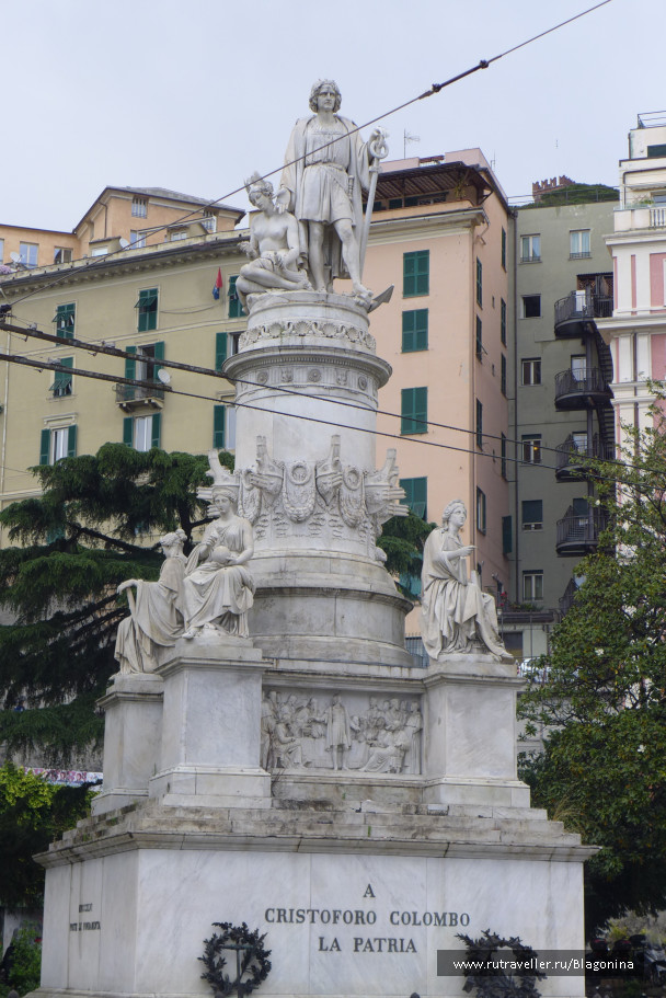 photo 1495206