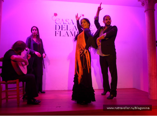 photo 1529271