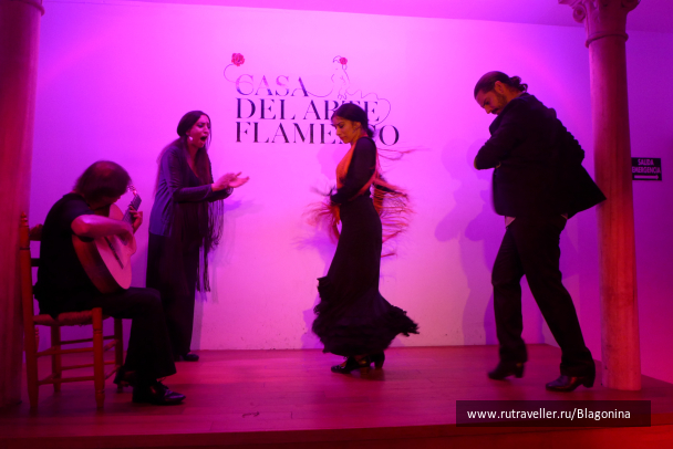 photo 1529272