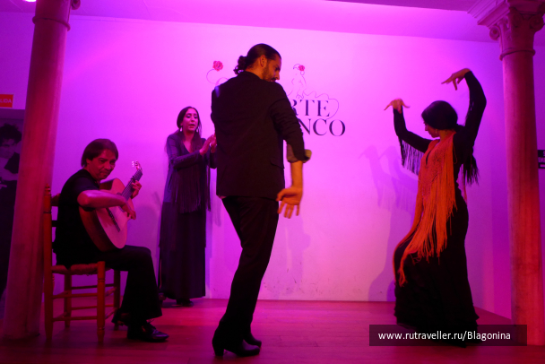 photo 1529273