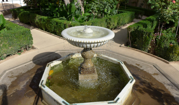 P1250649