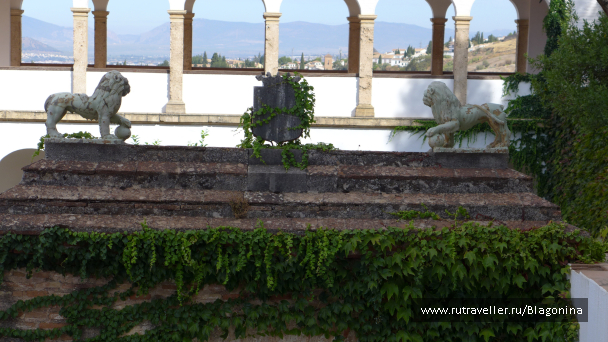 photo 1530222