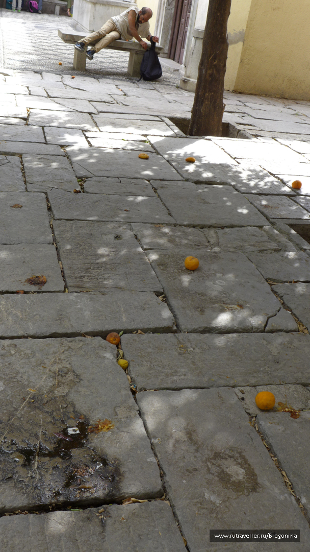 photo 1530762