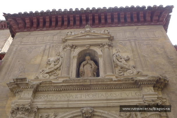 photo 1537407