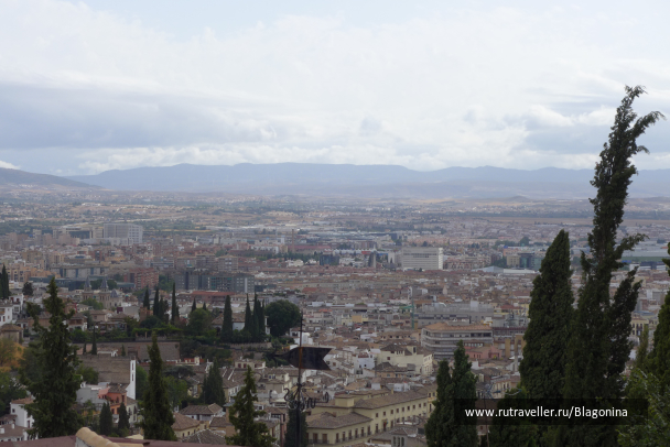 photo 1554470
