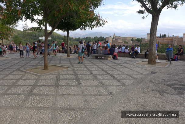 photo 1554472