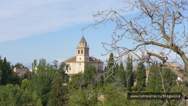 photo 1558644