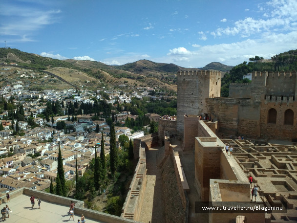 photo 1569449
