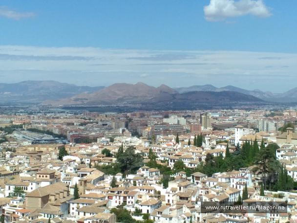 photo 1569451