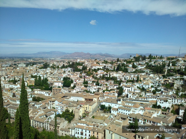 photo 1569460
