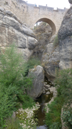 photo 1532962