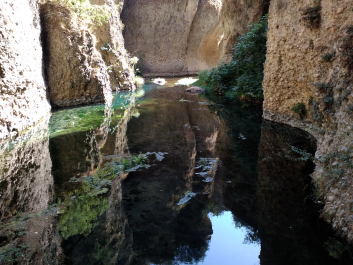 photo 1534905