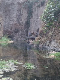 photo 1535491