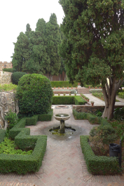 photo 1539971