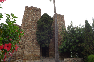 photo 1539979