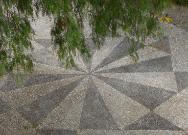 photo 1540314