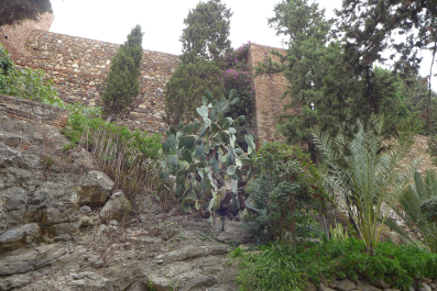 photo 1540321