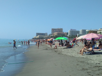 photo 1555049
