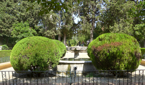 P1260751