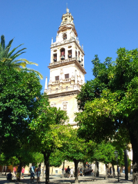 photo 1550969