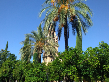 photo 1550970