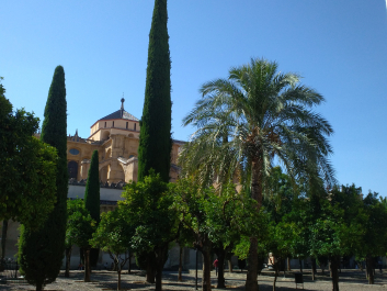 photo 1550971