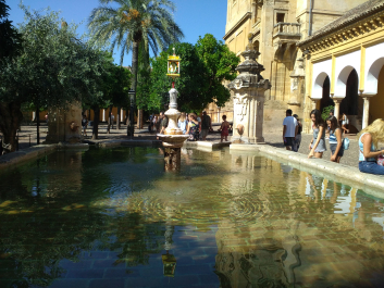 photo 1550972