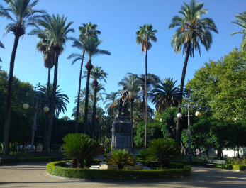 photo 1564816