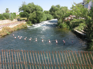 photo 1637837