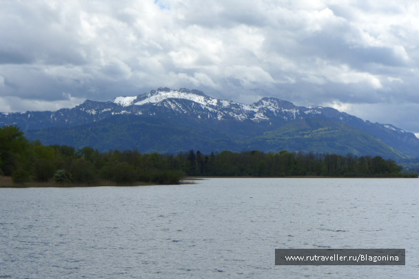 photo 1769573