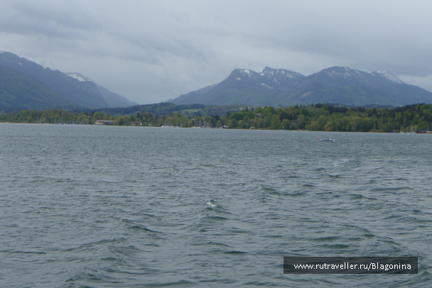 photo 1769584