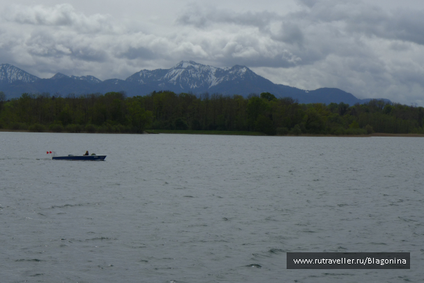 photo 1769585