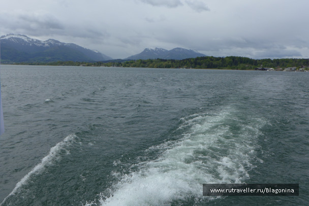 photo 1769586