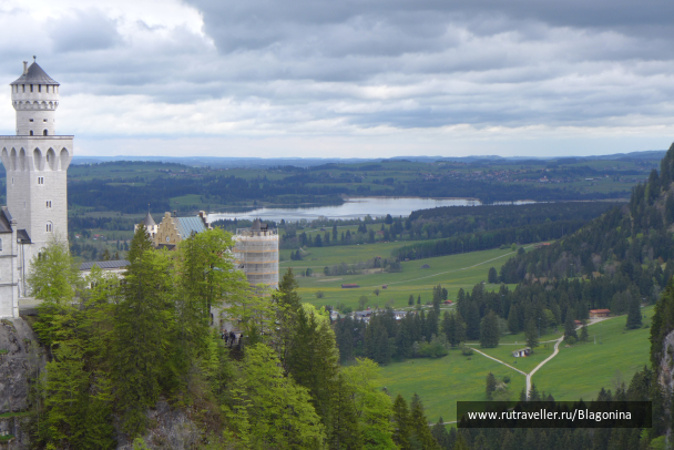 photo 1769888