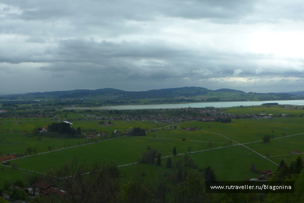 photo 1769889