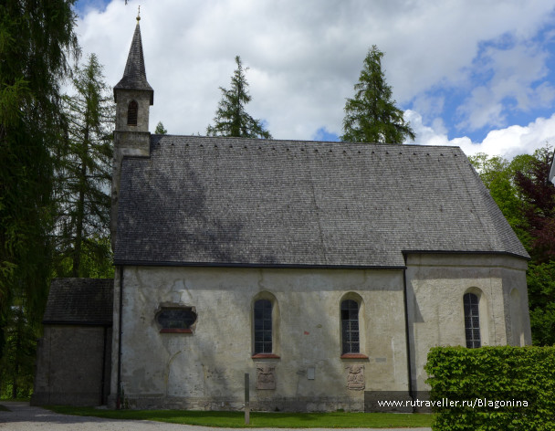 photo 1772981