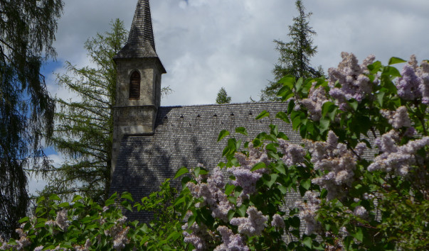 P1000356