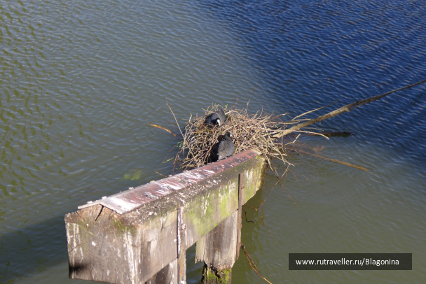 photo 1780441