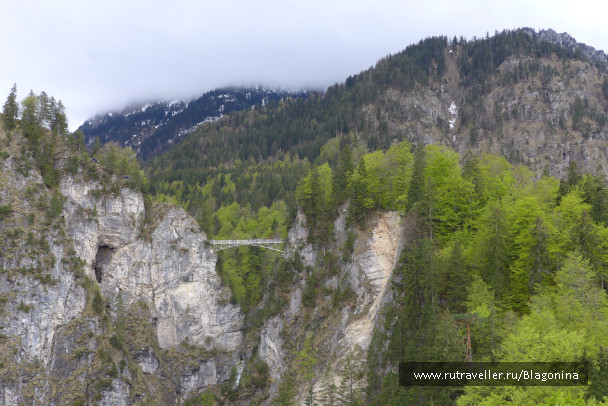 photo 1769863