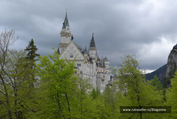 photo 1769872