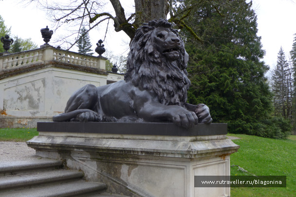 photo 1769939