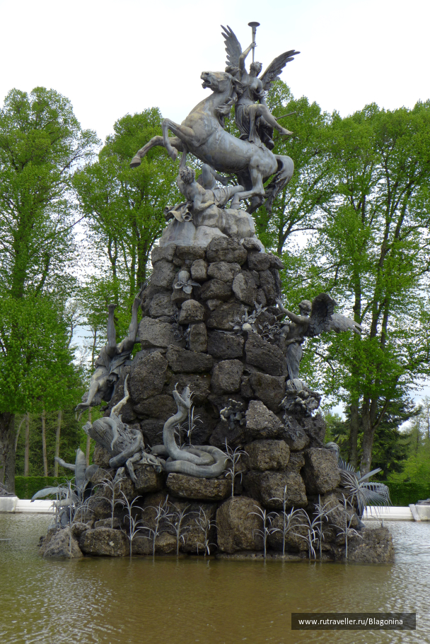 photo 1771271