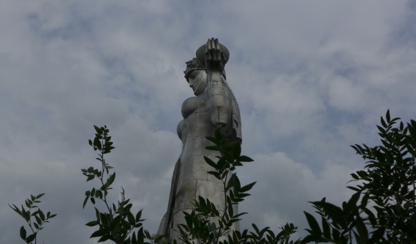 P1020554