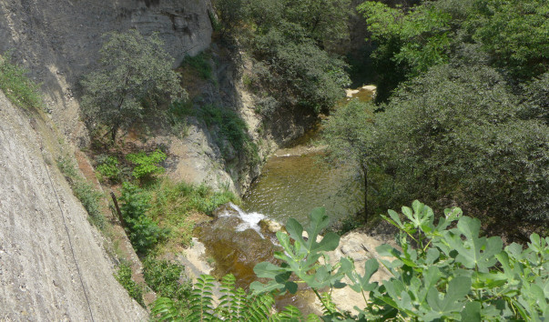 P1030150