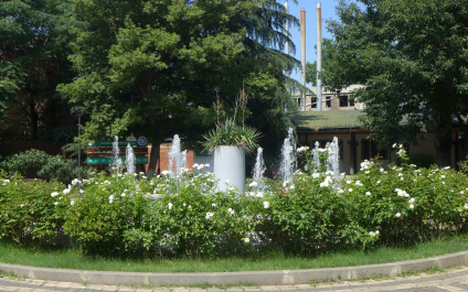 photo 1785765