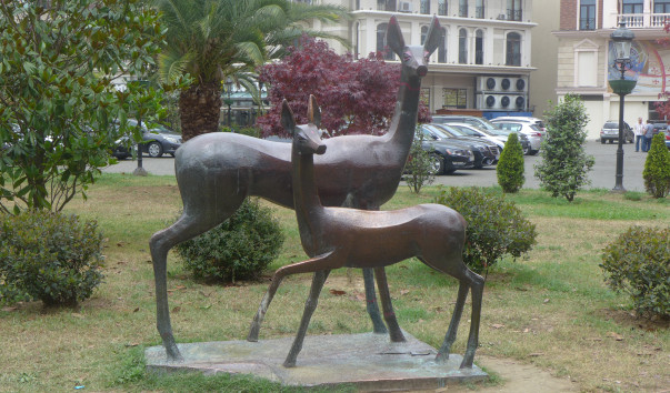 P1030260