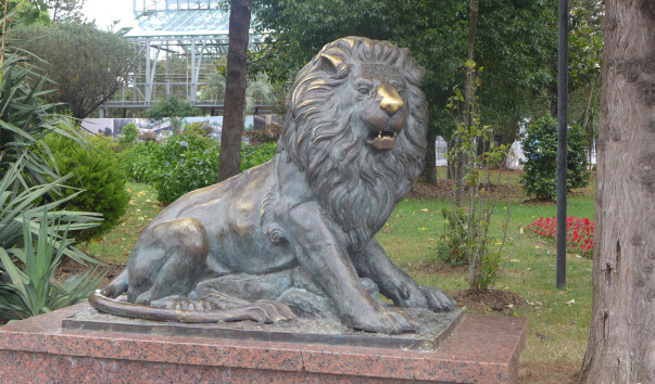P1030346