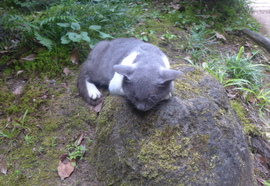 photo 1814678